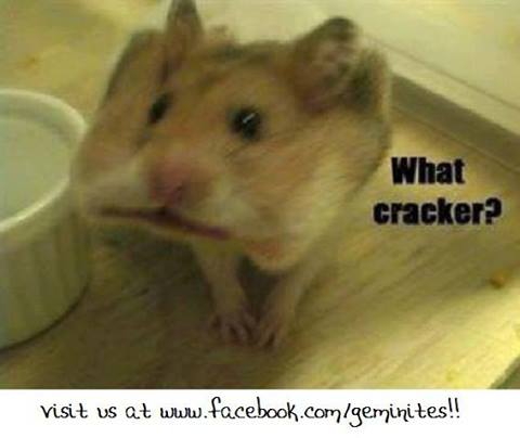 391417_470362563046619_1448495905_n