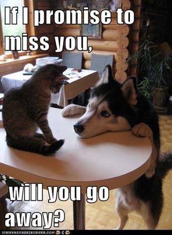 943182_10152841426940387_1049586314_n