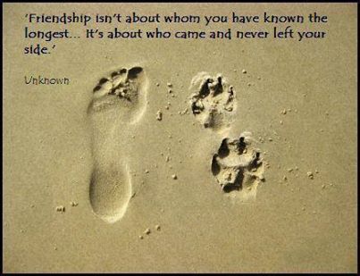 1017595_10151505516772545_1395906669_n