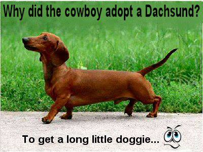 1010248_191338794361418_926710837_n