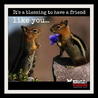 1010514_448122655283242_592252157_n