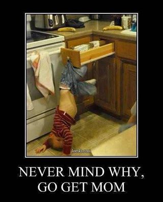 1016789_497014560368381_1929971427_n