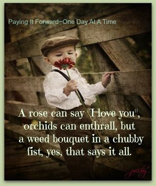 1016870_565751680156237_1290760388_n