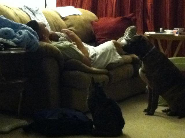 NEw dad with baby Alexander with pets keeping watch photo 3