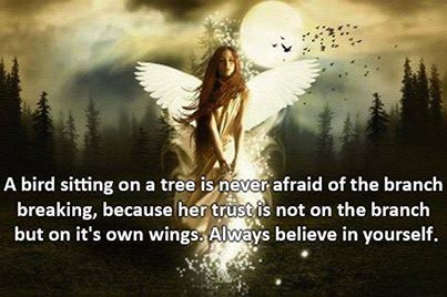 1176384_523192941094272_1102404332_n