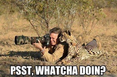 1239611_531950700210120_99376840_n