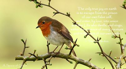 582133_486181524811906_2031170989_n