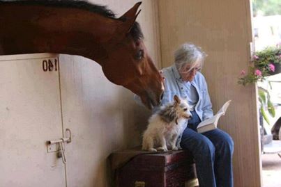 1186320_536934899711700_1387420076_n