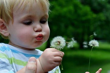 1375660_454208044696511_1396177545_n