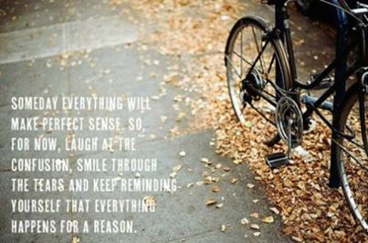 1383946_10152223434804942_788198665_n