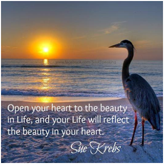 1390604_526751514073304_978216041_n