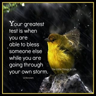 1457557_605528332843189_2099501478_n