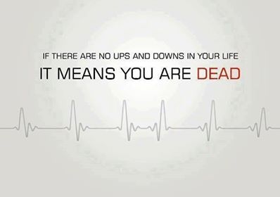 1473023_556360427769147_1824932427_n