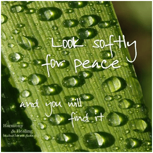 485507_247727355384525_1867453567_n (2)