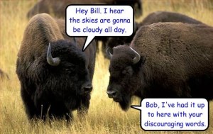 Buffalo securedownload